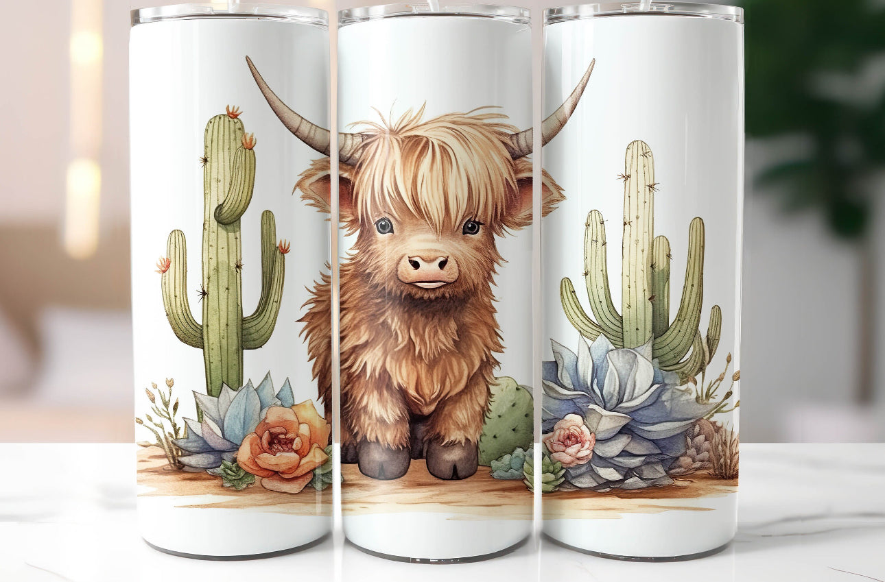 Succulent highland cow